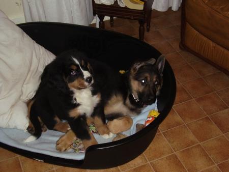 Buzz et son cousin West
